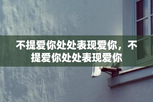 不提爱你处处表现爱你，不提爱你处处表现爱你