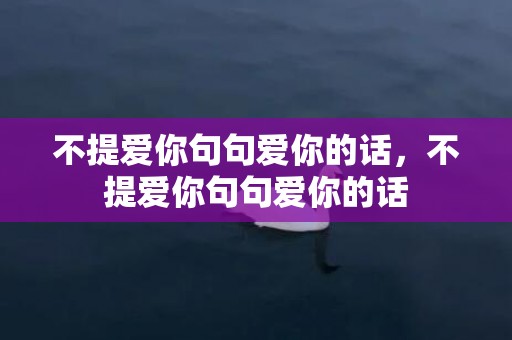 不提爱你句句爱你的话，不提爱你句句爱你的话