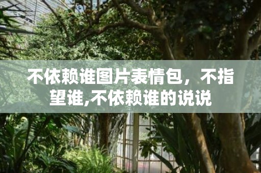 不依赖谁图片表情包，不指望谁,不依赖谁的说说