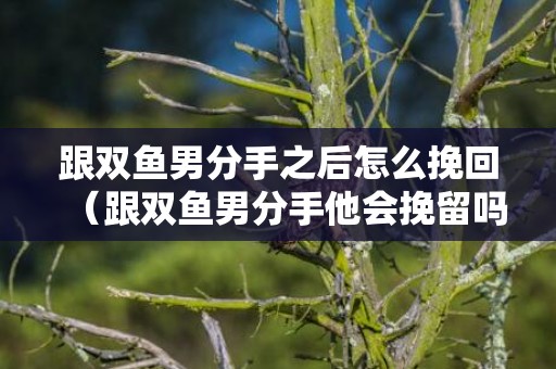 跟双鱼男分手之后怎么挽回（跟双鱼男分手他会挽留吗）