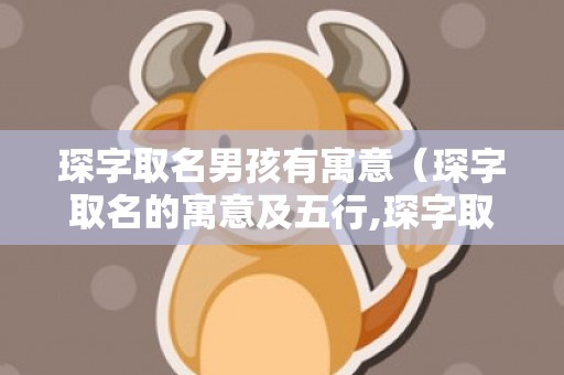 琛字取名男孩有寓意（琛字取名的寓意及五行,琛字取名的寓意是什么?）