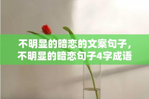 不明显的暗恋的文案句子，不明显的暗恋句子4字成语