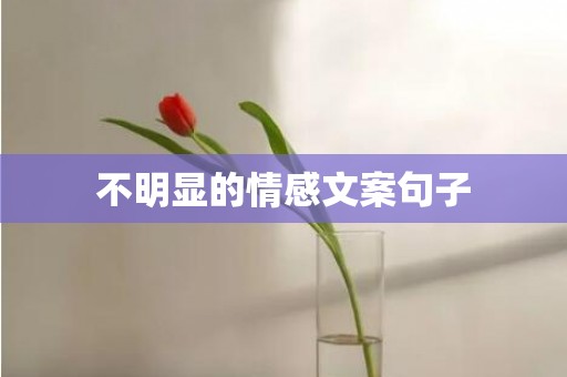 不明显的情感文案句子