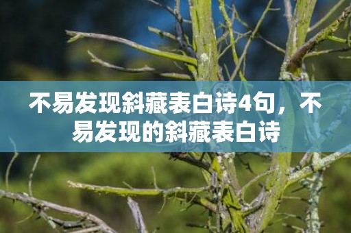 不易发现斜藏表白诗4句，不易发现的斜藏表白诗