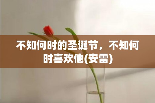 不知何时的圣诞节，不知何时喜欢他(安雷)