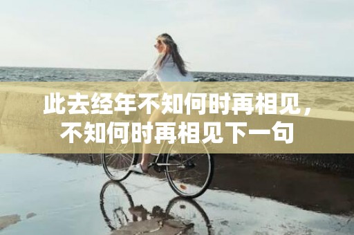 此去经年不知何时再相见，不知何时再相见下一句