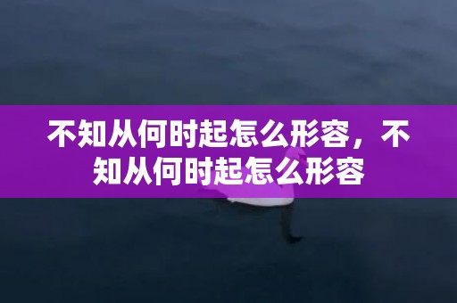 不知从何时起怎么形容，不知从何时起怎么形容