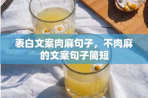 表白文案肉麻句子，不肉麻的文案句子简短