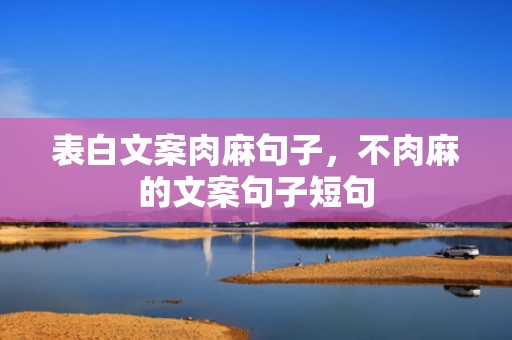 表白文案肉麻句子，不肉麻的文案句子短句