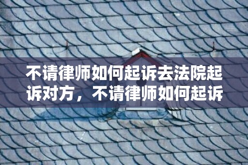 不请律师如何起诉去法院起诉对方，不请律师如何起诉开发商