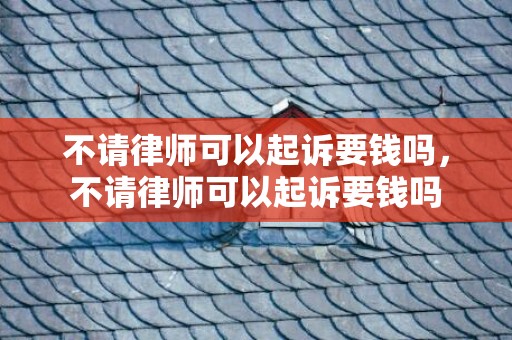 不请律师可以起诉要钱吗，不请律师可以起诉要钱吗