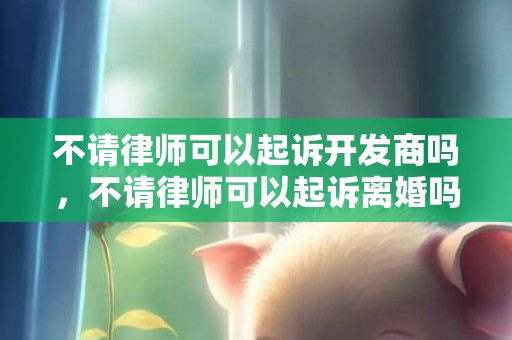 不请律师可以起诉开发商吗，不请律师可以起诉离婚吗