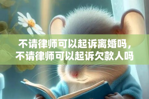 不请律师可以起诉离婚吗，不请律师可以起诉欠款人吗