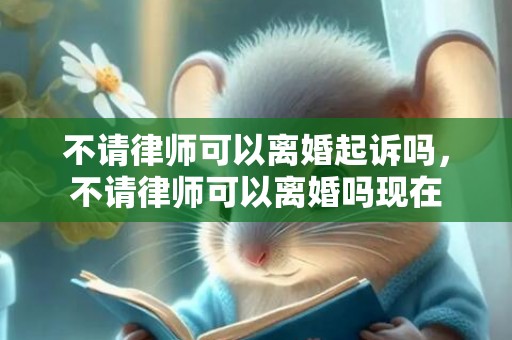 不请律师可以离婚起诉吗，不请律师可以离婚吗现在