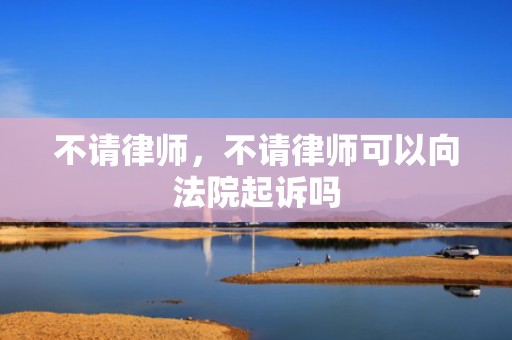 不请律师，不请律师可以向法院起诉吗
