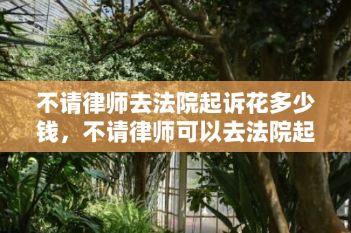 不请律师去法院起诉花多少钱，不请律师可以去法院起诉吗
