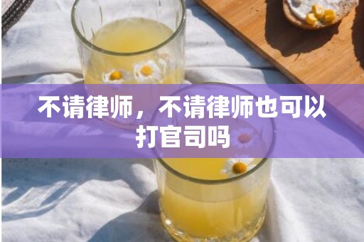不请律师，不请律师也可以打官司吗