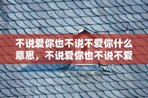 不说爱你也不说不爱你什么意思，不说爱你也不说不爱你