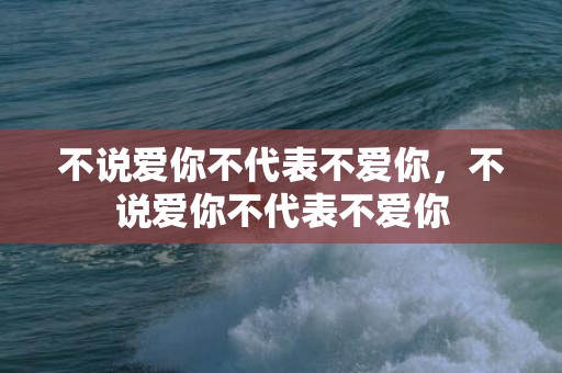 不说爱你不代表不爱你，不说爱你不代表不爱你