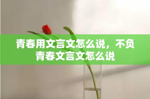 青春用文言文怎么说，不负青春文言文怎么说