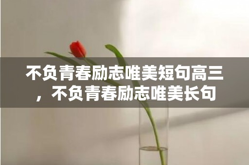 不负青春励志唯美短句高三，不负青春励志唯美长句