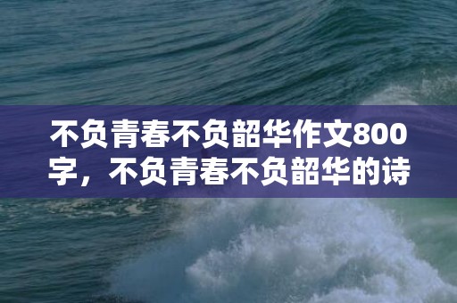 不负青春不负韶华作文800字，不负青春不负韶华的诗