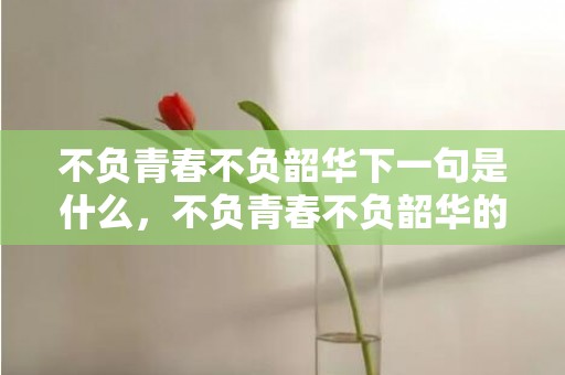 不负青春不负韶华下一句是什么，不负青春不负韶华的歌