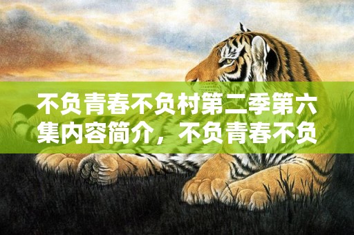不负青春不负村第二季第六集内容简介，不负青春不负村第三季