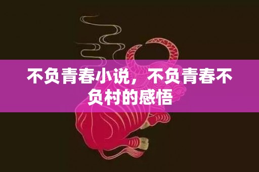 不负青春小说，不负青春不负村的感悟