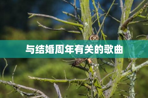与结婚周年有关的歌曲