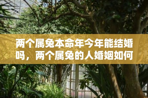 两个属兔本命年今年能结婚吗，两个属兔的人婚姻如何