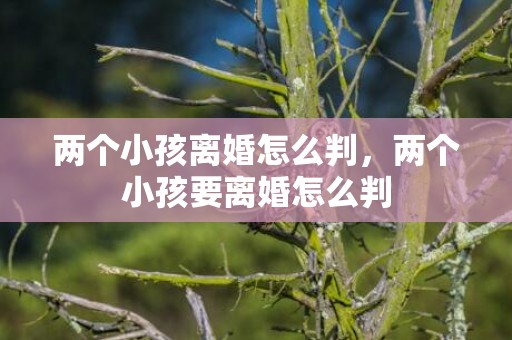 两个小孩离婚怎么判，两个小孩要离婚怎么判