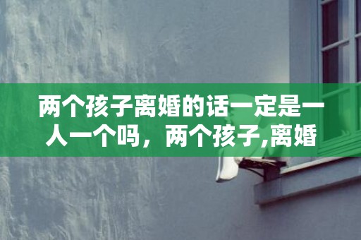 两个孩子离婚的话一定是一人一个吗，两个孩子,离婚的话怎么判