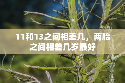 11和13之间相差几，两胎之间相差几岁最好