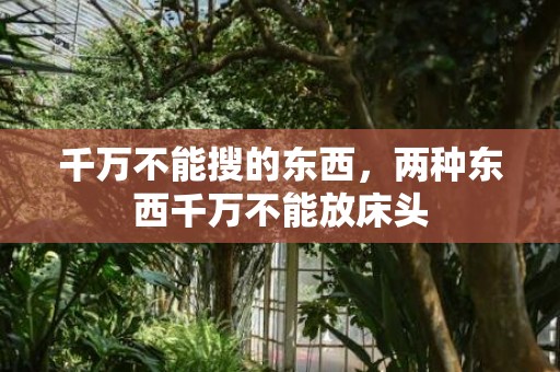 千万不能搜的东西，两种东西千万不能放床头