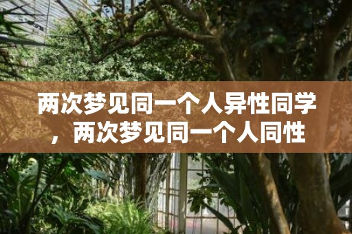 两次梦见同一个人异性同学，两次梦见同一个人同性