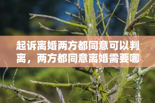 起诉离婚两方都同意可以判离，两方都同意离婚需要哪些证