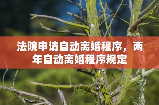 法院申请自动离婚程序，两年自动离婚程序规定