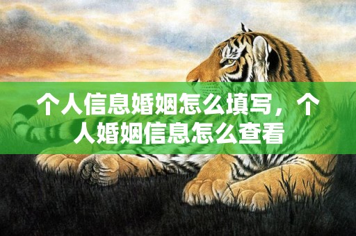 个人信息婚姻怎么填写，个人婚姻信息怎么查看