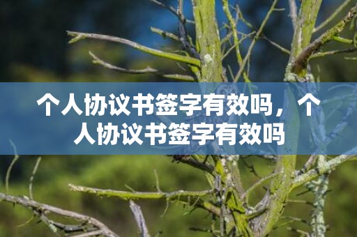 个人协议书签字有效吗，个人协议书签字有效吗