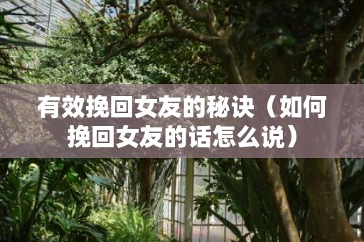 有效挽回女友的秘诀（如何挽回女友的话怎么说）
