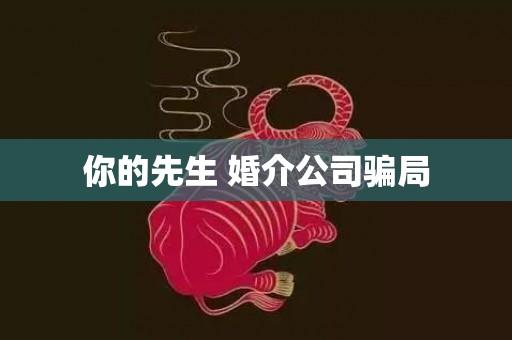 你的先生 婚介公司骗局