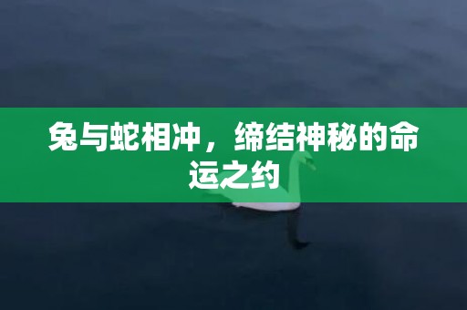兔与蛇相冲，缔结神秘的命运之约