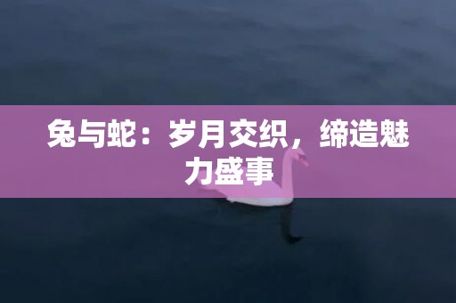 兔与蛇：岁月交织，缔造魅力盛事