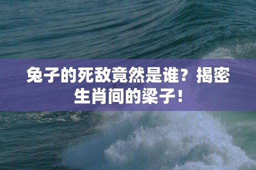 兔子的死敌竟然是谁？揭密生肖间的梁子！