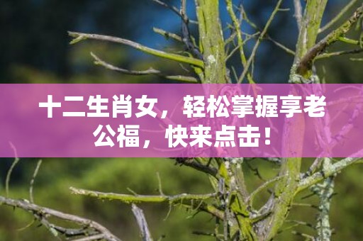 十二生肖女，轻松掌握享老公福，快来点击！