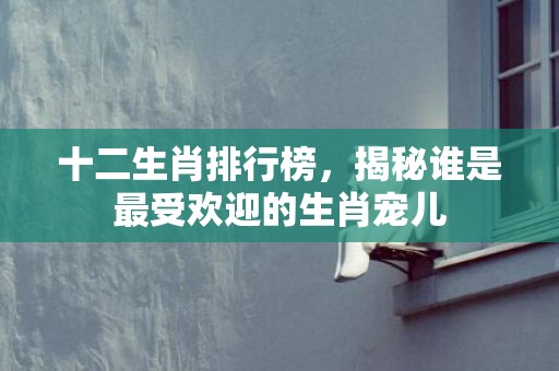 十二生肖排行榜，揭秘谁是最受欢迎的生肖宠儿