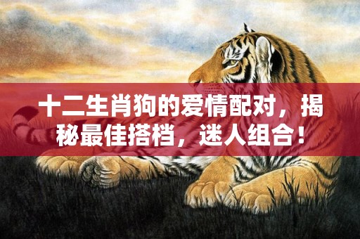 十二生肖狗的爱情配对，揭秘最佳搭档，迷人组合！