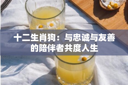 十二生肖狗：与忠诚与友善的陪伴者共度人生