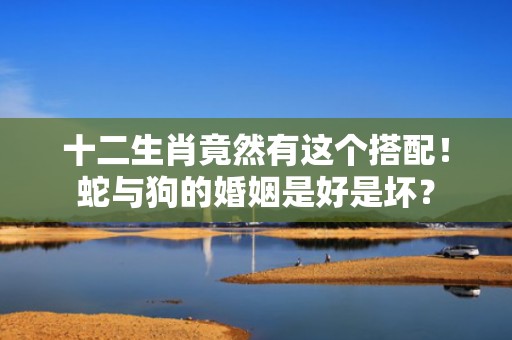 十二生肖竟然有这个搭配！蛇与狗的婚姻是好是坏？